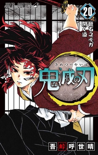 Cover Demon Slayer Kimetsu no Yaiba Volume 20