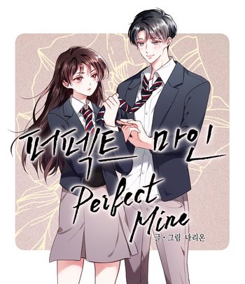 Cover Cover Perfect Mine 2