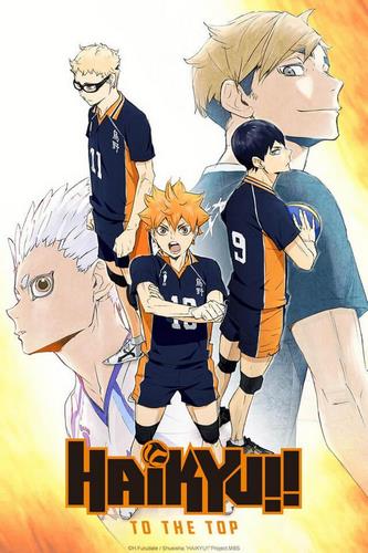 Cover Haikyuu!! To the Top