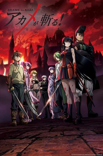 Cover Anime Akame ga Kill